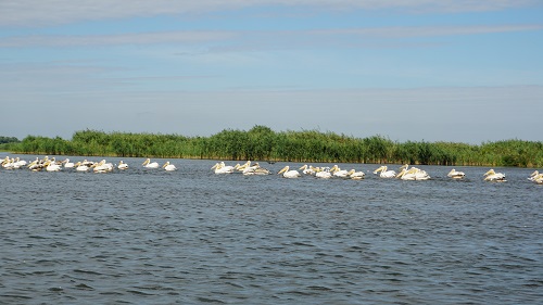 Rezervatia Delta Dunarii